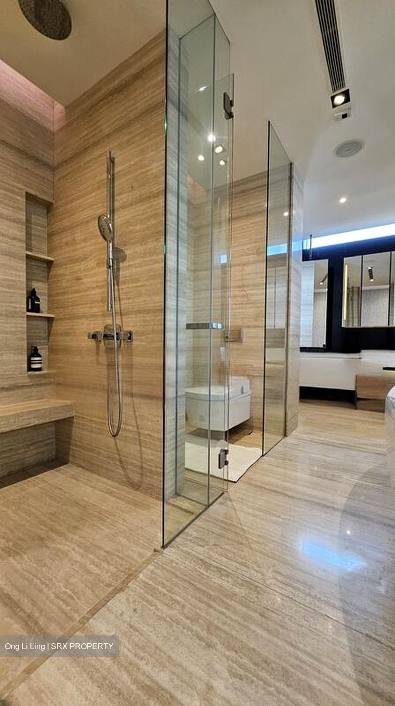 Stamford Road (D6), Condominium #459840451
